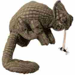 Bruine kameleon handpop van Simply, ideaal voor poppenkast en verhalen