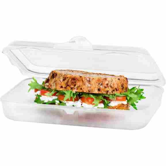 Rotho Fun lunchbox 0.45L met transparant deksel, lichtgewicht design en vaatwasmachinebestendige materialen voor dagelijks