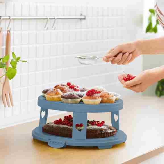 Rotho Taartdoos XL Met Cupcake-Houders Blauw/Transparant