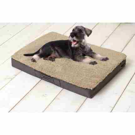 Sun Garden Buddy Orthopedisch Hondenkussen 72X50X8Cm Beige/Donkerbuin